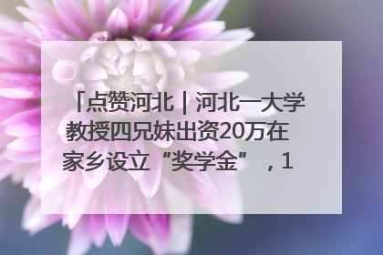 点赞河北｜河北一大学教授四兄妹出资20万在家乡设立“奖学金”，13年为320名农村学生种下“希望的种子”